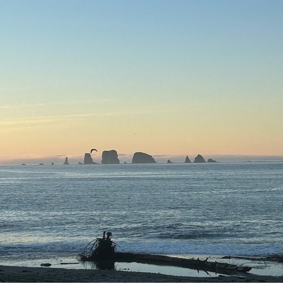 Spring Inventory ((unlisted)) 
All Sizes - Picture 6 of 8